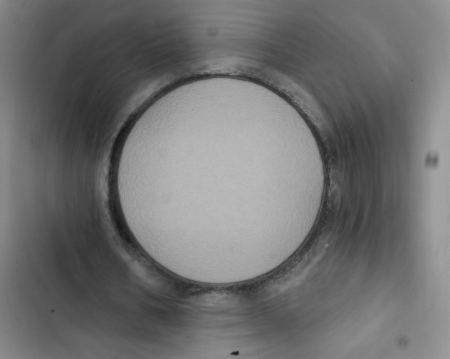 X0000102810578200809150954