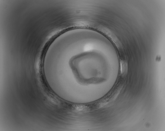 X0000102810579200809150954