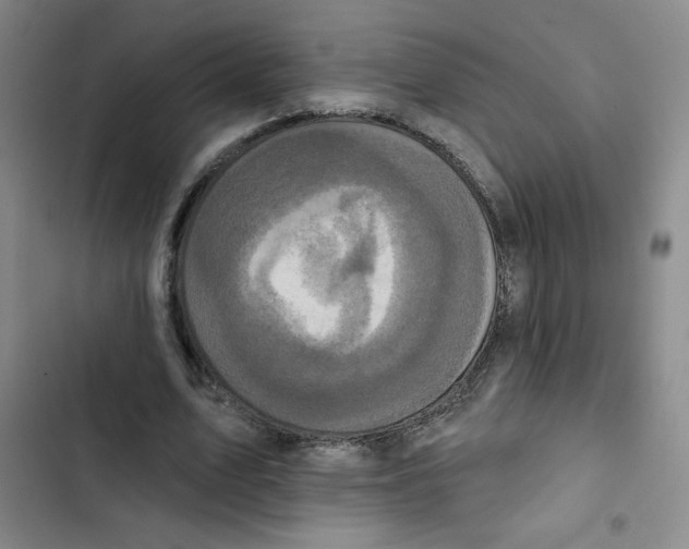 X0000102810583200809150954