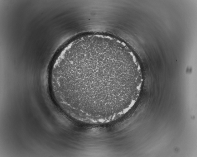 X0000102810584200809150954