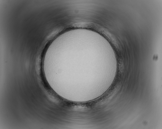 X0000102810586200809150954