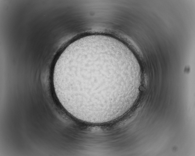 X0000102810588200809150954