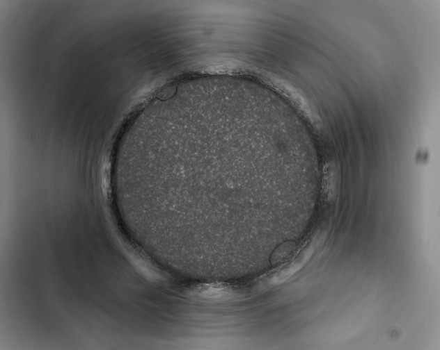 X0000102810589200809150954