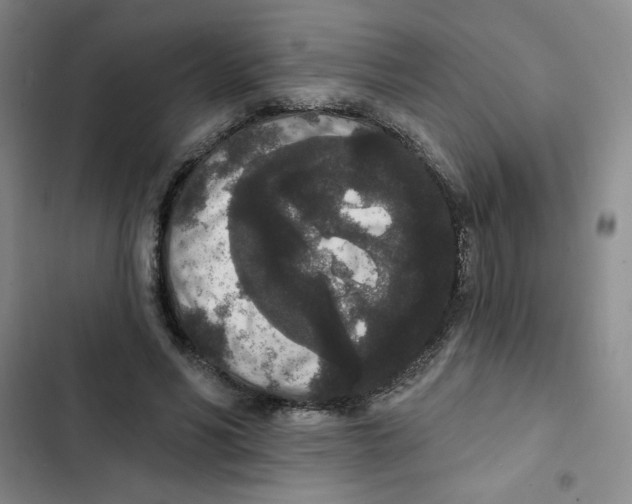 X0000102810590200809150954