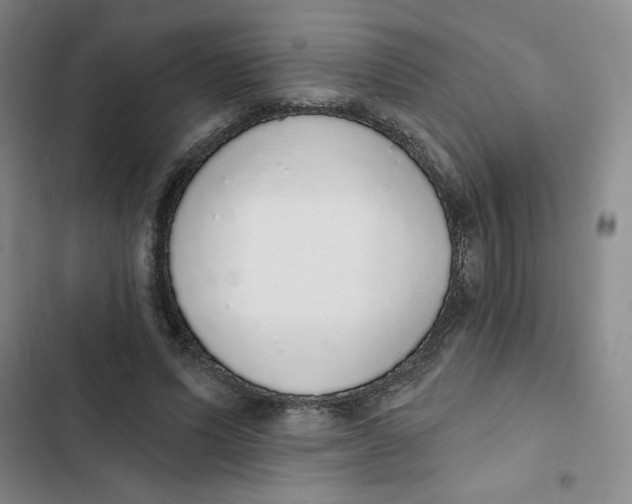 X0000102810591200809150954