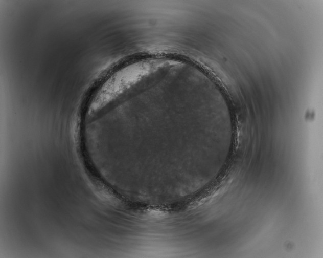 X0000102810592200809150954