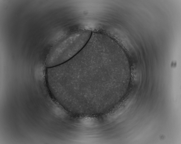 X0000102810593200809150954