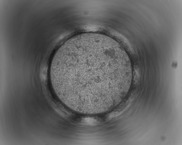 X0000102810596200809150954