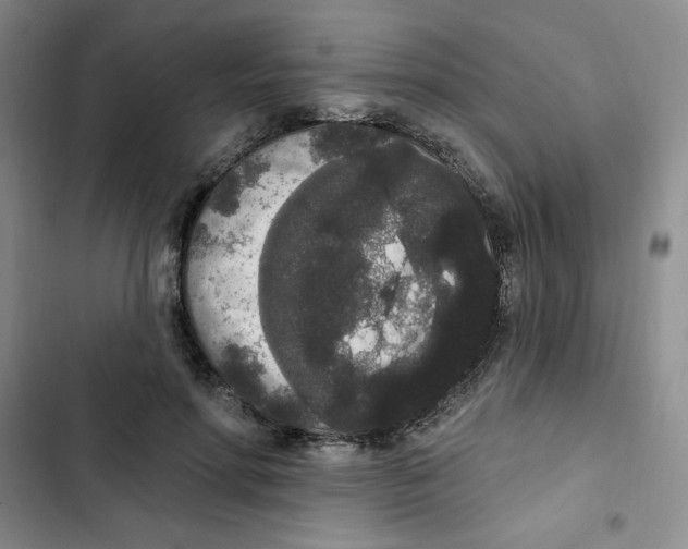 X0000102810598200809150953