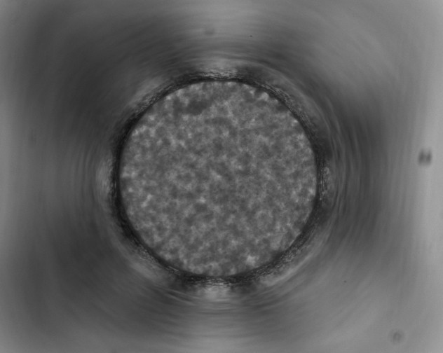 X0000102810600200809150953