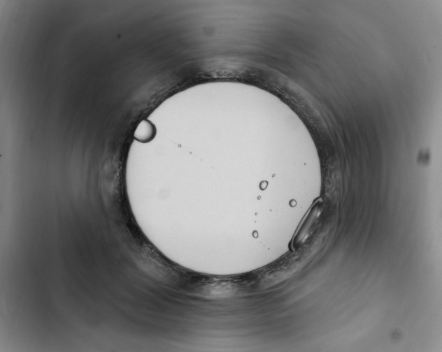 X0000102810604200809150953