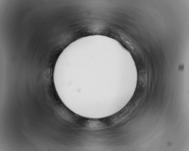 X0000102810605200809150953