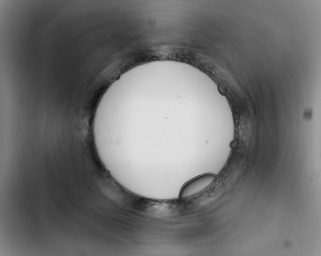 X0000102810611200809150953