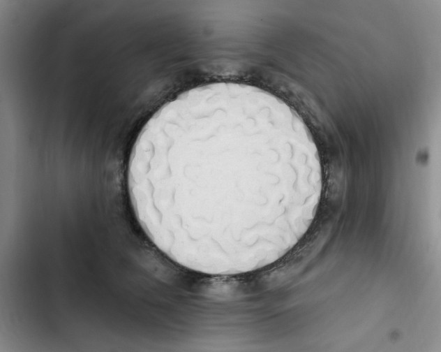 X0000102810612200809150953