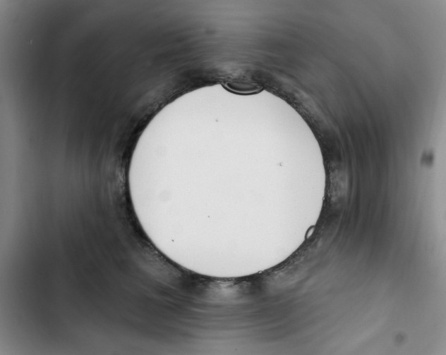 X0000102810613200809150953