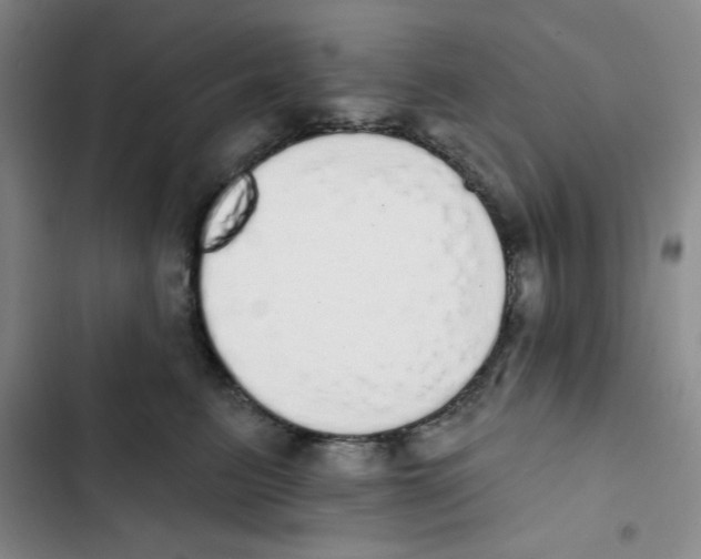 X0000102810615200809150953