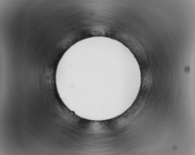 X0000102810616200809150953