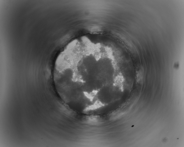 X0000102810618200809150953