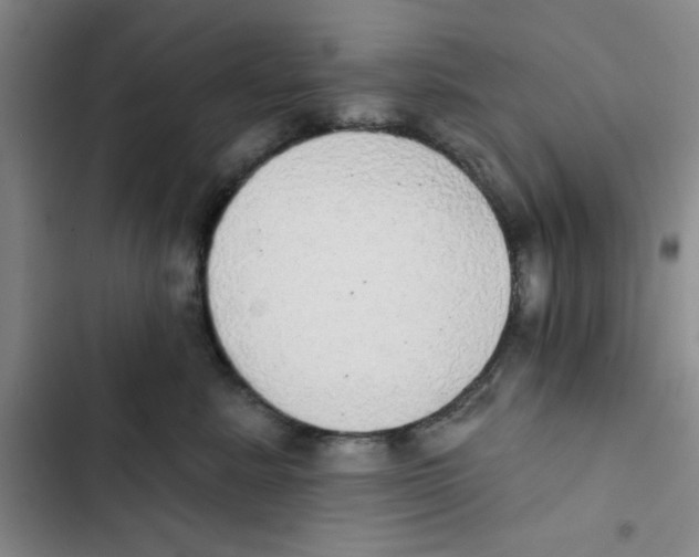 X0000102810619200809150953