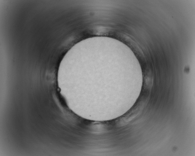 X0000102810620200809150953