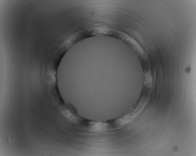 X0000102810621200809150953