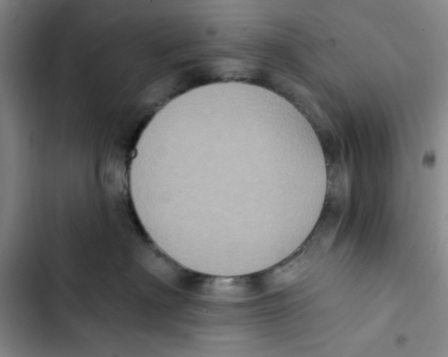 X0000102810622200809150953