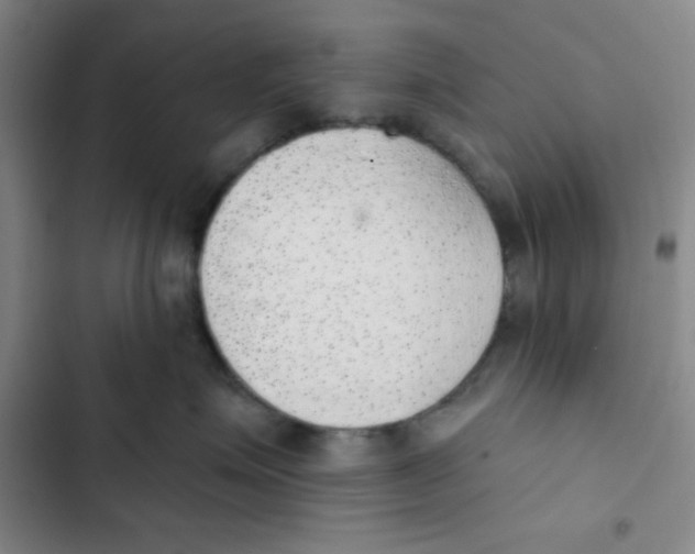 X0000102810623200809150953