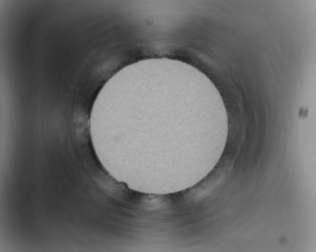 X0000102810624200809150953