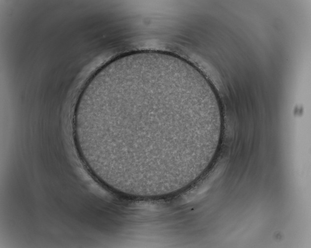 X0000102810625200809150952