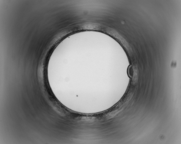 X0000102810626200809150952