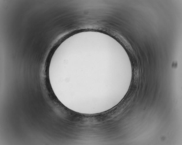 X0000102810628200809150953