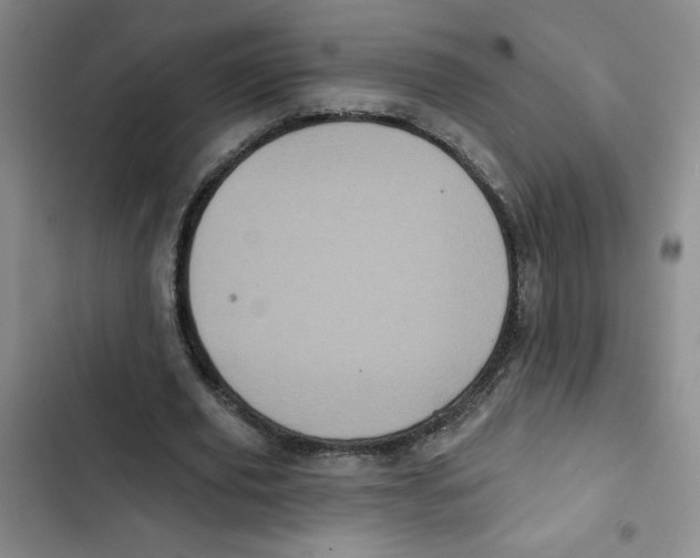 X0000102810629200809150953