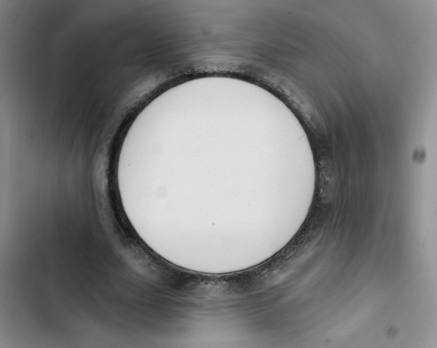 X0000102810631200809150953