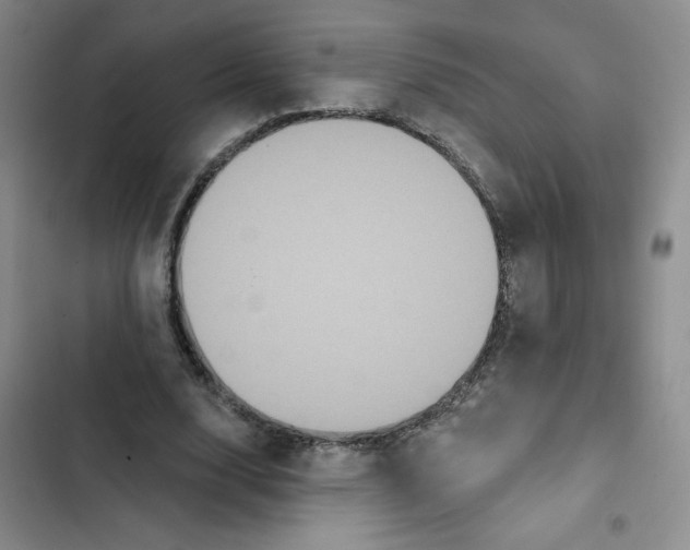 X0000102810632200809150953