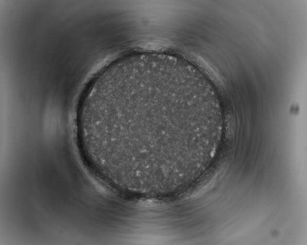 X0000102810634200809150953