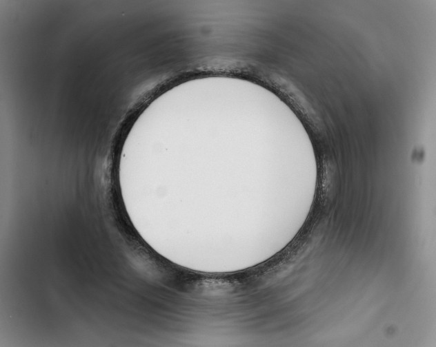 X0000102810636200809150953