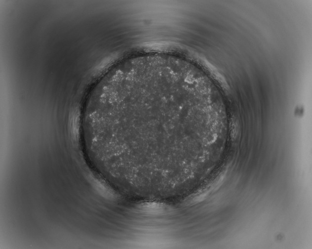 X0000102810637200809150953