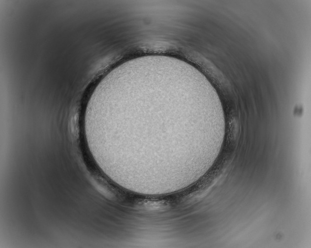 X0000102810638200809150953