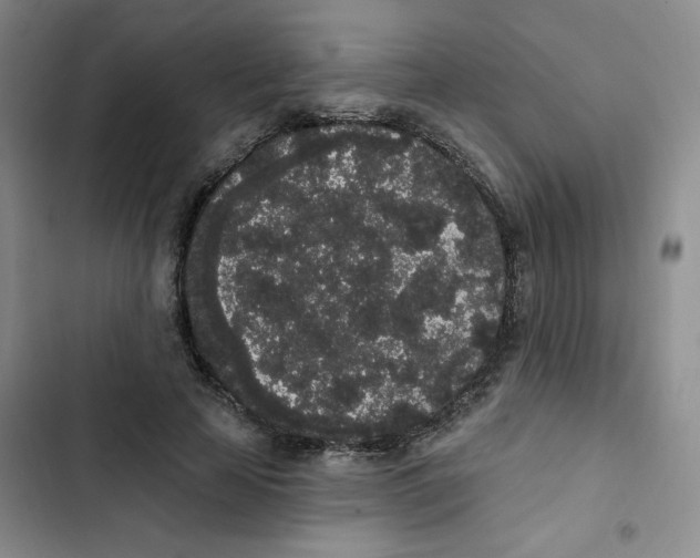 X0000102810641200809150953