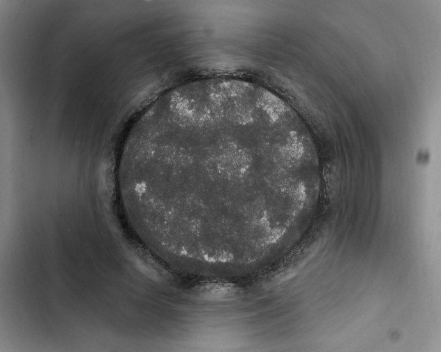 X0000102810642200809150953