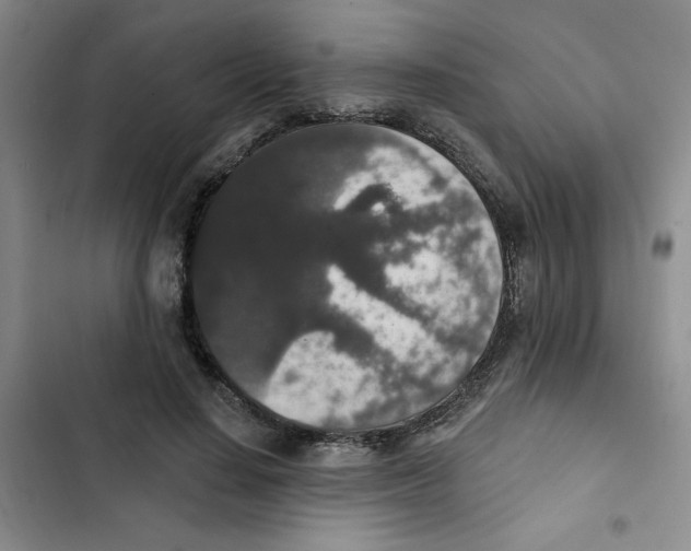 X0000102810644200809150953