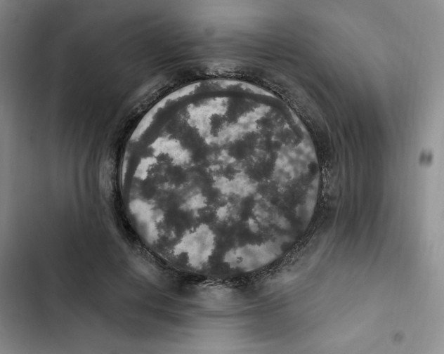 X0000102810648200809150953