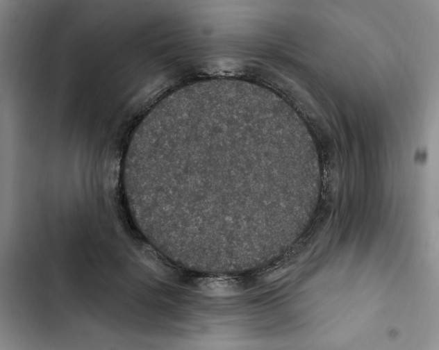 X0000102810652200809150953