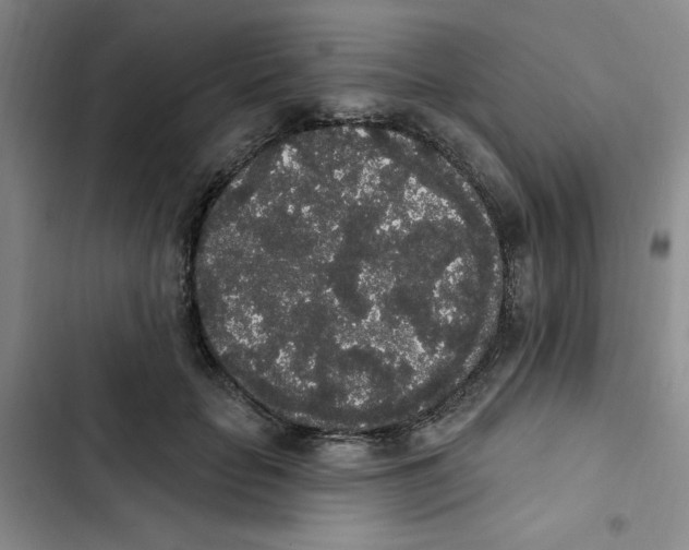 X0000102810653200809150953