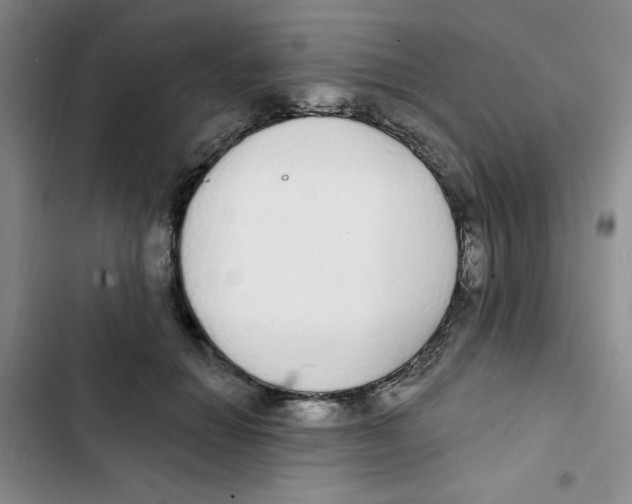 X0000102810654200809150953