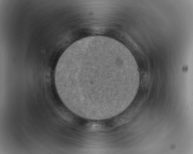 X0000102810655200809150953