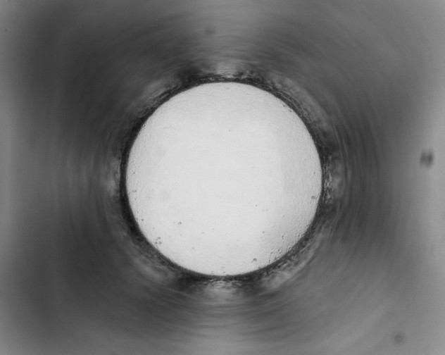 X0000102810656200809150953