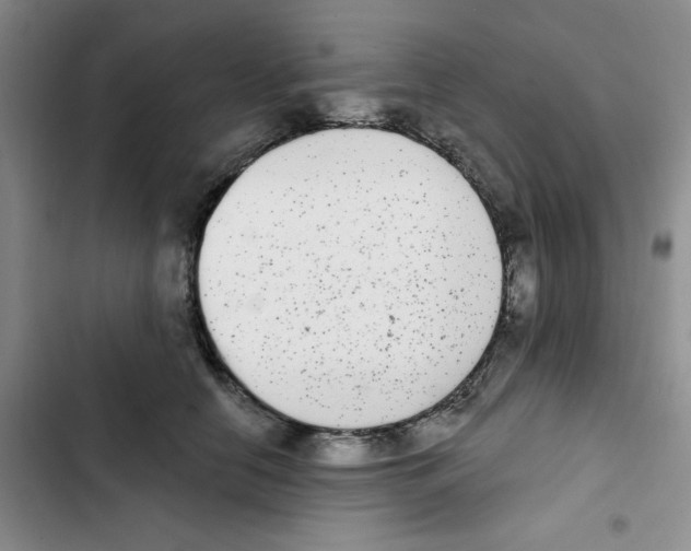 X0000102810658200809150953