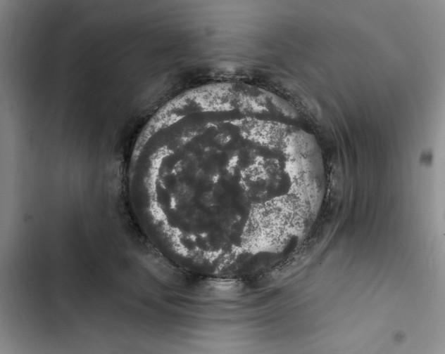 X0000102810659200809150953