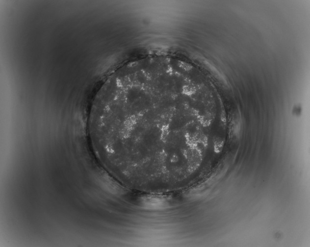 X0000102810661200809150953